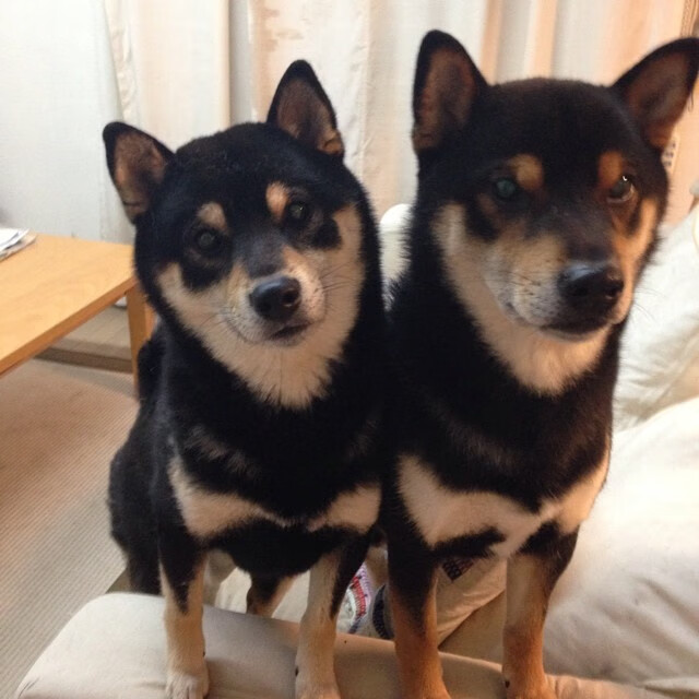 西决复盘，30秒地狱到新生天梯，绝杀王如何在死地铸就后生？