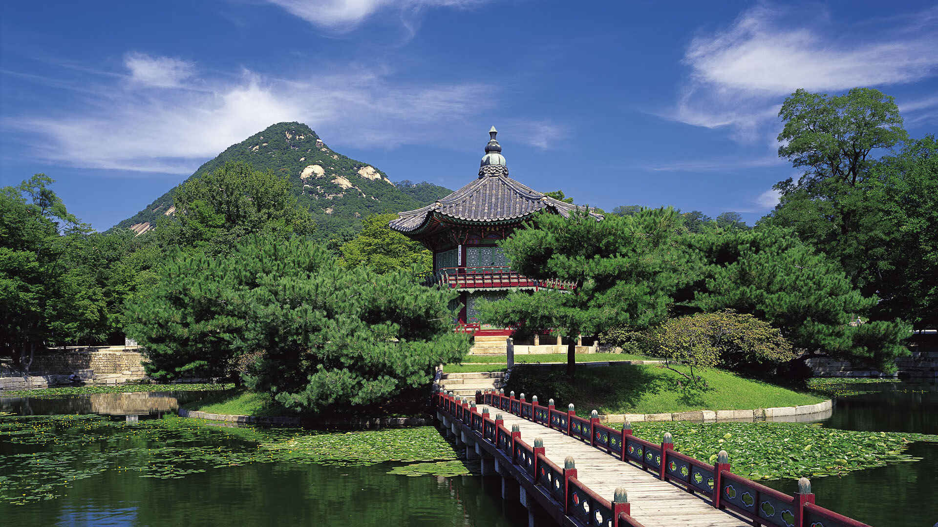 开云体育登录-美加墨世界杯焦点战，爱尔兰在毕尔巴鄂强势晋级，缔造绿茵传奇