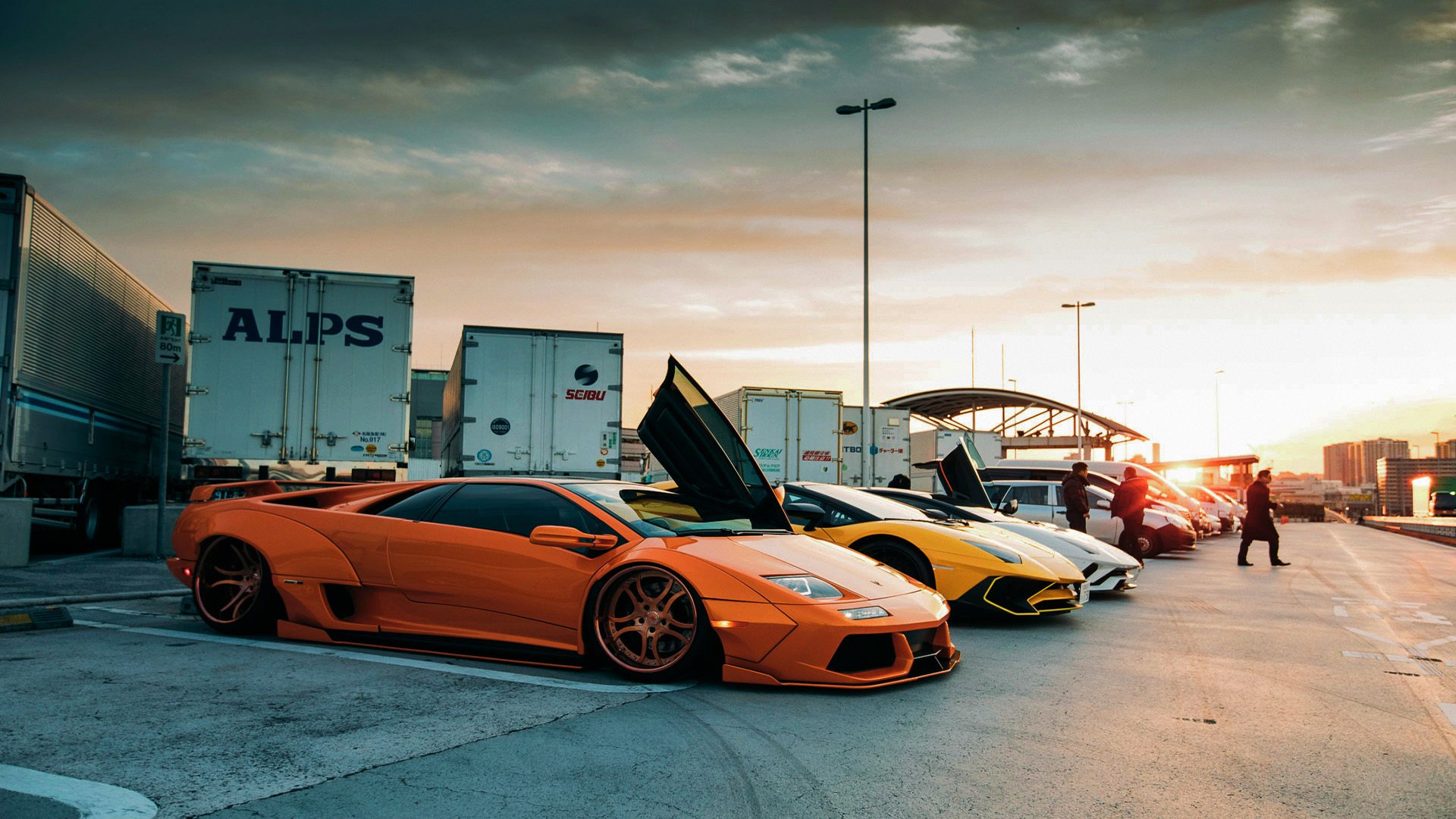 从战术森林到独角兽之舞，上海队的体系胜利与切特的个人天赋宣言