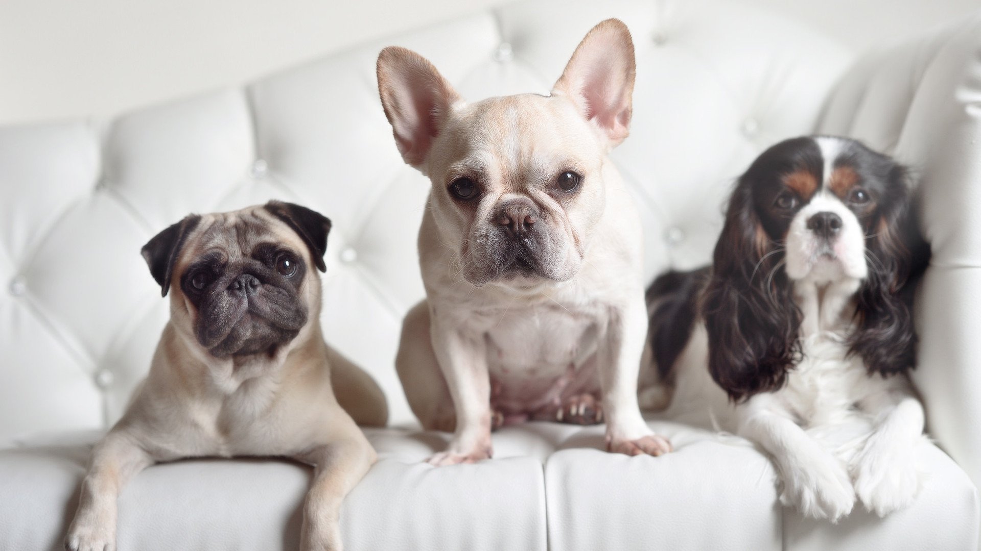 开云体育APP下载-世界排名争夺战焦点，步行者全队爆发连续得分狂潮，深圳队防守溃败难挽颓势