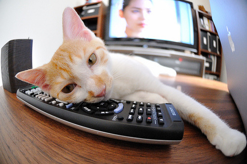 橙色巨蟒与单骑救主,当篮网风暴席卷古老城砖,马克西在巴黎前夜写下注脚