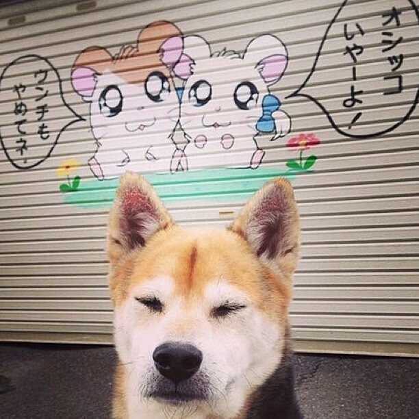 开云体育2026-蓝色星芒下的亚洲弧线，久保建英独舞斯坦福桥