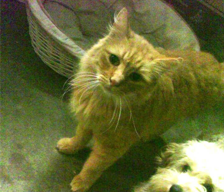 开云体育登录-铁蹄下的光，当碾压成为锻造，关键先生在废墟中诞生