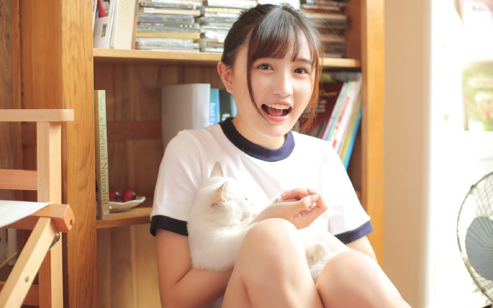 华沙无声铁骑与安特卫普的叹息，当范戴克的铜墙铁壁化作波兰人穿越历史的甬道