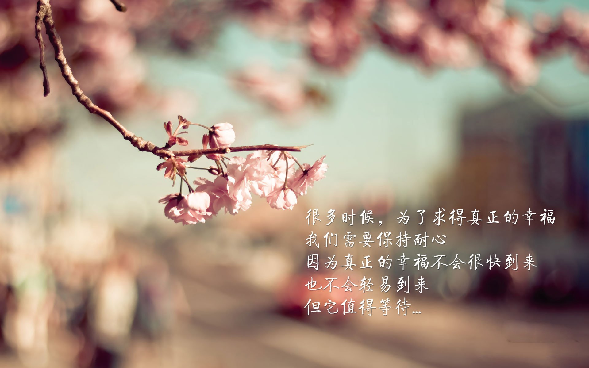 卢卡库之手,一场从未发生的比赛与永恒掌控