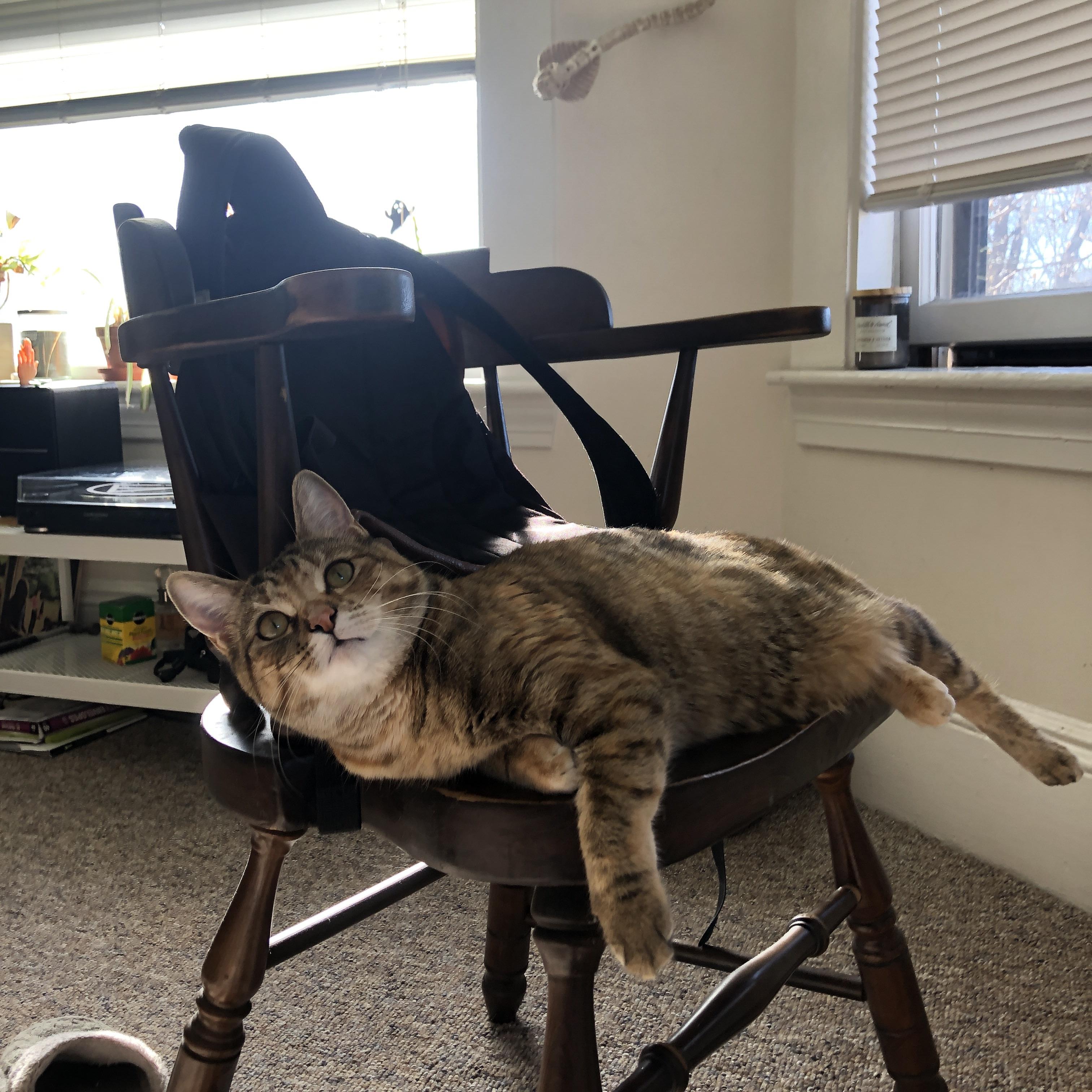 奇迹的两种配方，布伦森与深圳队在同一夜晚定义伟大