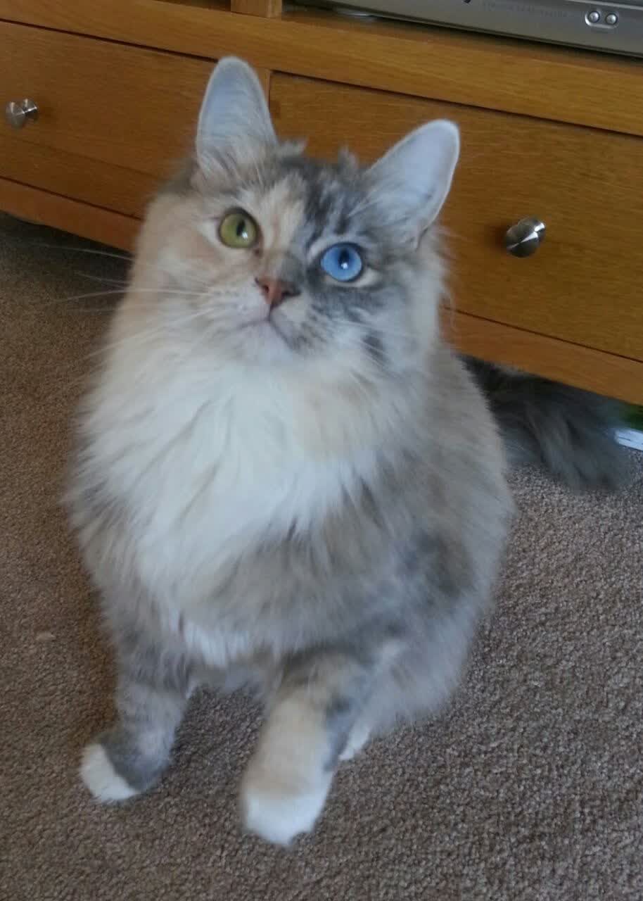 开云体育官网-绿茵场与硬木地板的交响，当欧冠淘汰赛遇上勇士的制胜哲学