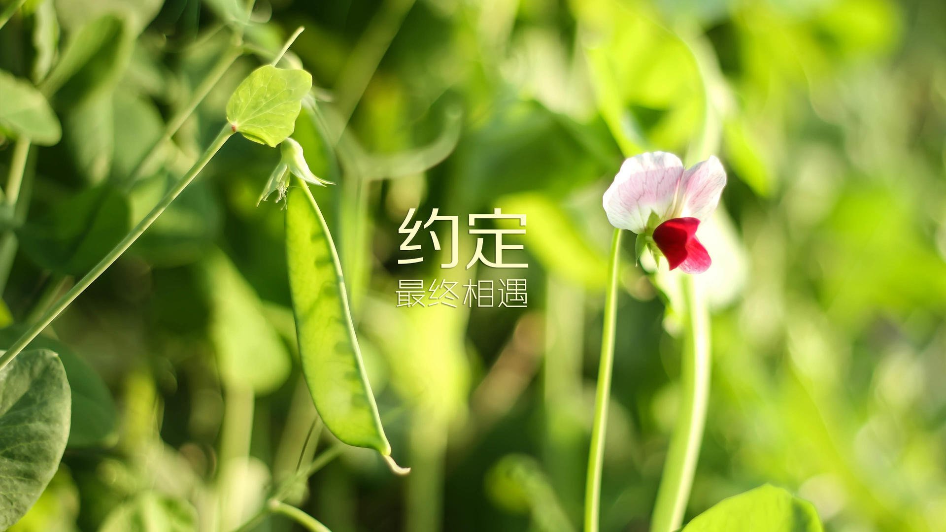 (三选一,皆具唯一性)