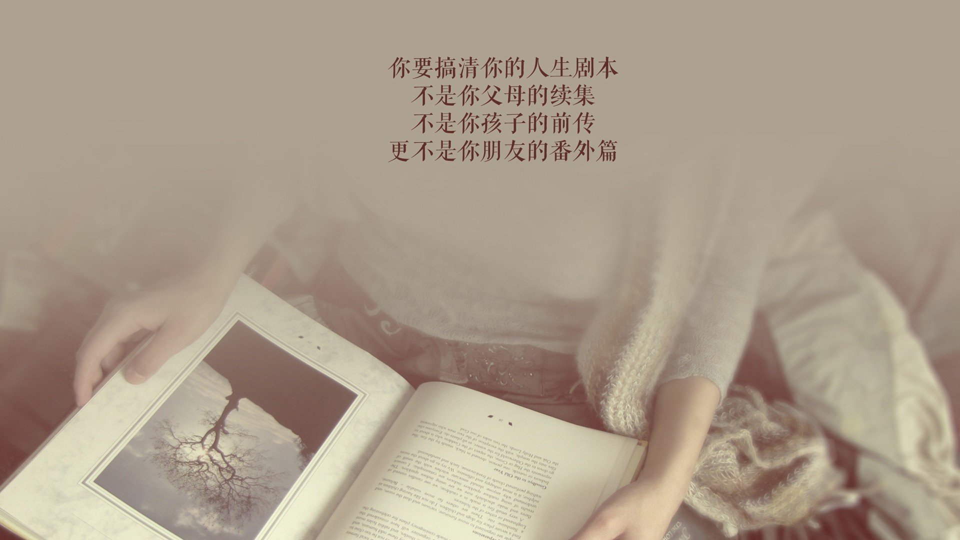 当脆弱成为最锋利的武器，2026世界杯B组，一次关于极致耐心、精准失衡与菲力克斯式救赎的文明对撞