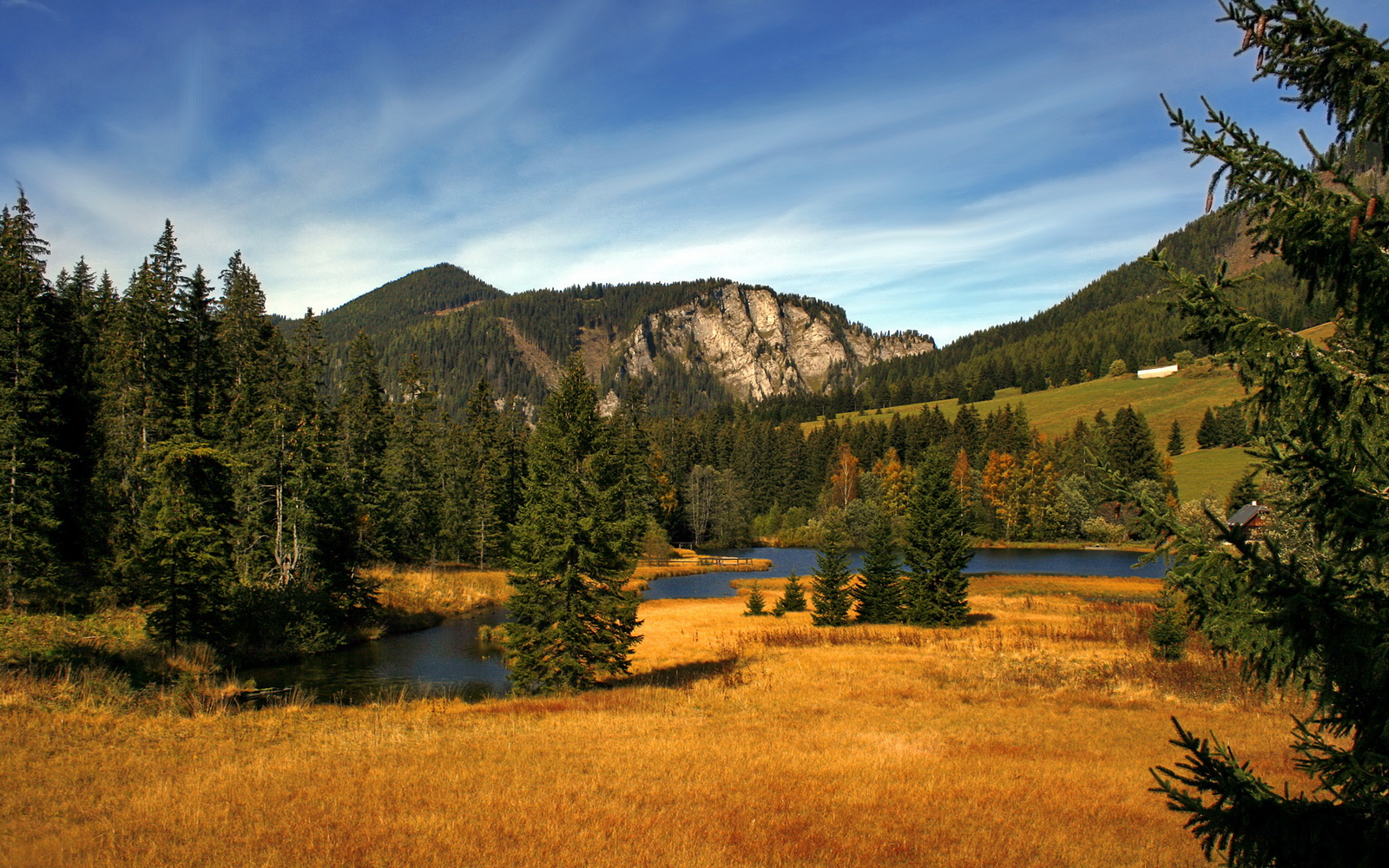 旧秩序的黄昏,当袋鼠撕碎战车,阿方索·戴维斯在C组写下了世界杯的新寓言