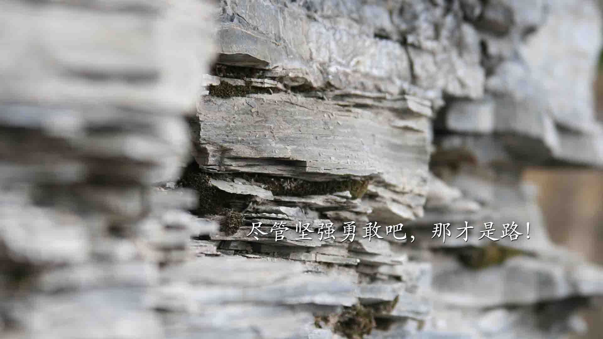 防守反击的完美样本，登贝莱灵光一现，德国队1-0力克厄瓜多尔